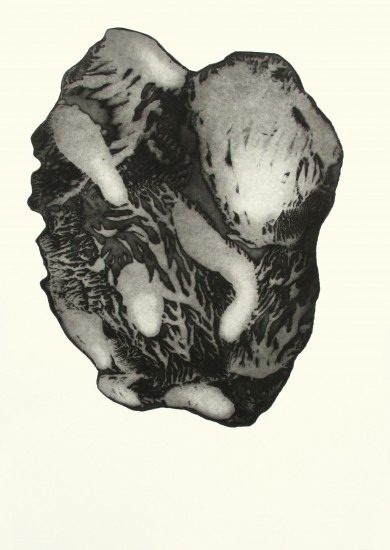 Naturelat XVII | akwatinta, tech. własna | 50x70cm